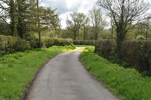 Photo 6"x4" Gadsby Lane Further Quarter c2021 P1