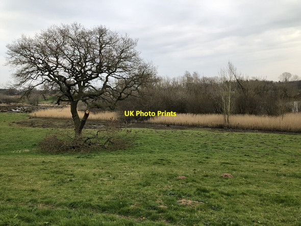 Photo 6"x4" Peckforton Mere Beeston\/SJ5458 c2022