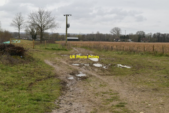Photo 6"x4" Muddy path Hunton\/TQ7149 c2021