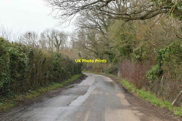 Photo 6"x4" Mill Lane Benover c2021 P1