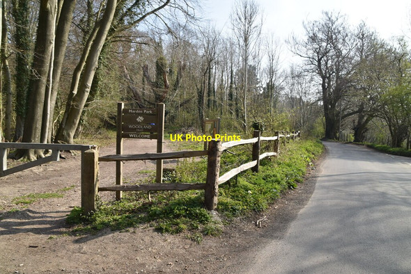 Photo 6"x4" Marden Park Tyler's Green\/TQ3552 c2021