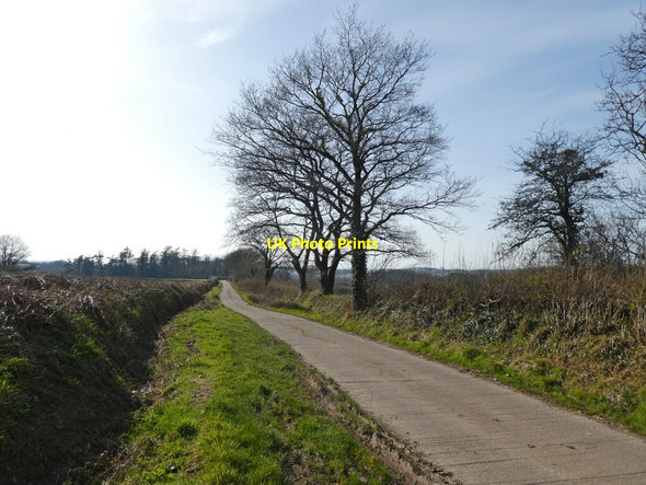 Photo 6"x4" Road to Ashridge Court Ashridge Court c2022