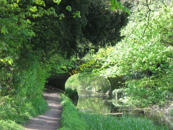 Photo 6"x4" Wendover Arm: The trees overshadow the canal by Harelane Bridge Wendover c2009