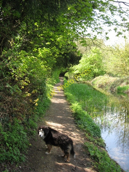 Photo 6"x4" Wendover Arm; The towpath approaches Harelane Bridge Wendover c2009