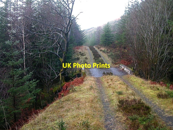Photo 6"x4" Forest Track Bridge Creagan\/NM9744 c2006