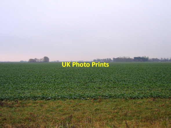 Photo 6"x4" Farmland, Baston Fen, Lincs Baston c2006