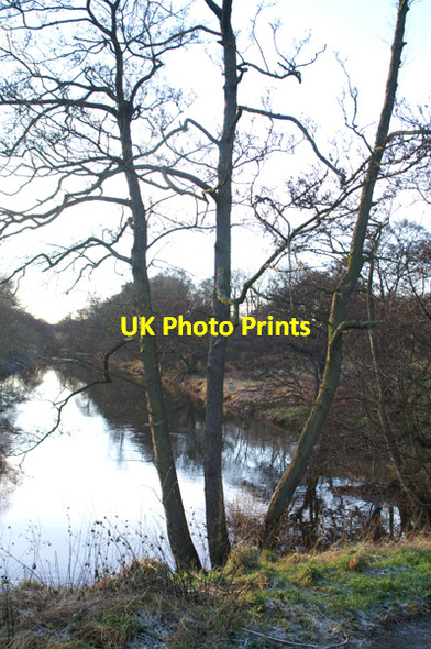 Photo 6"x4" River Almond near Craigshill, Livingston Livingston c2004