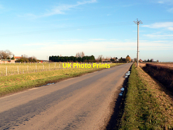 Photo 6"x4" Towards Tumby Woodside Reedham\/TF2456 c2006