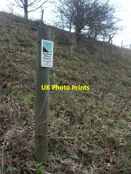 Photo 6"x4" Roadside Nature Reserve, A140 Dunston\/TG2202 c2006