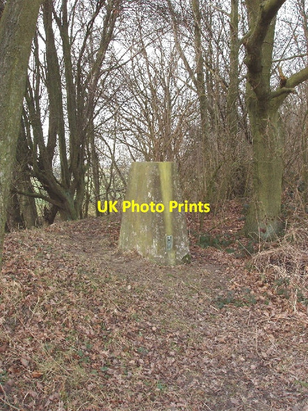 Photo 6"x4" Triangulation pillar in Cowcroft Woods, Botley Chesham\/SP9601 c2006