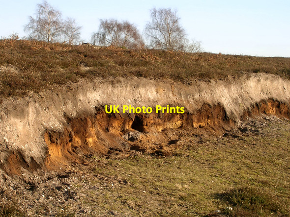 Photo 6"x4" Exposed soil profile on Matley Heath, New Forest Ashurst\/SU3310 c2006