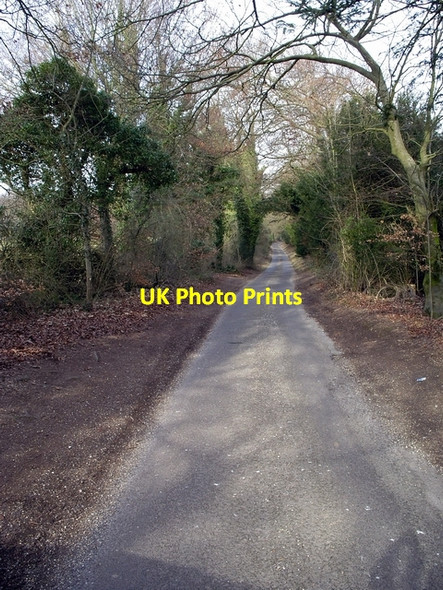 Photo 6"x4" Minor road to Windmill Hill Crawley\/SU4234 c2006
