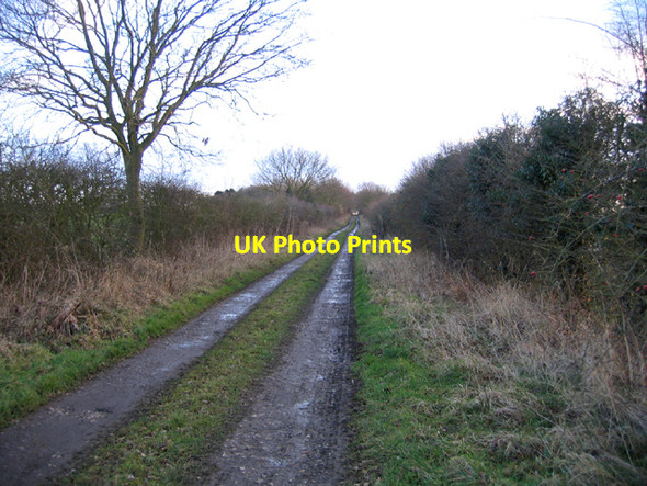 Photo 6"x4" Farm track, Wellingham, Norfolk Weasenham St Peter c2006