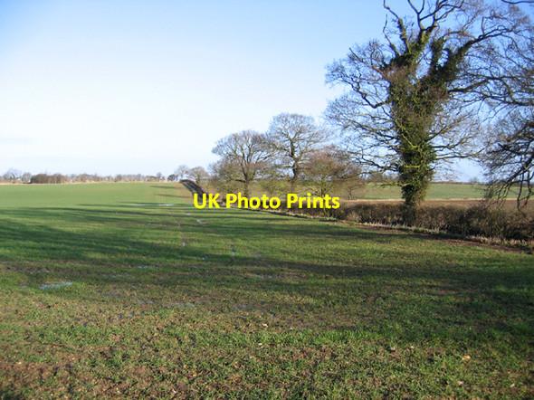 Photo 6"x4" Farmland west of Gt Ryburgh, Norfolk Great Ryburgh c2006