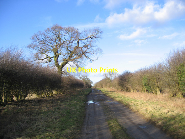 Photo 6"x4" Farm track, Weasenham All Saints, Norfolk Weasenham All Saints c2006