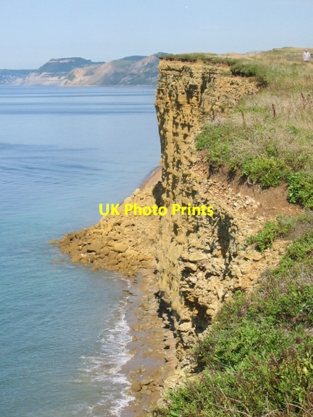 Photo 6"x4" Burton Cliff, showing 2005 landslip Burton Bradstock c2005