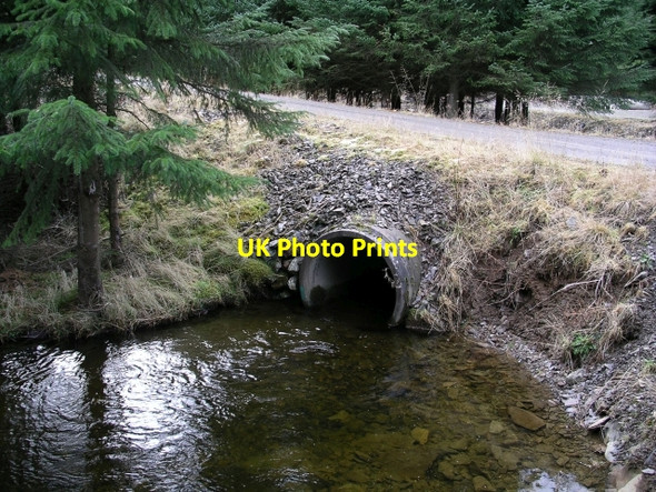 Photo 6"x4" Culvert Bridge, Glentress Forest Williamslee c2006