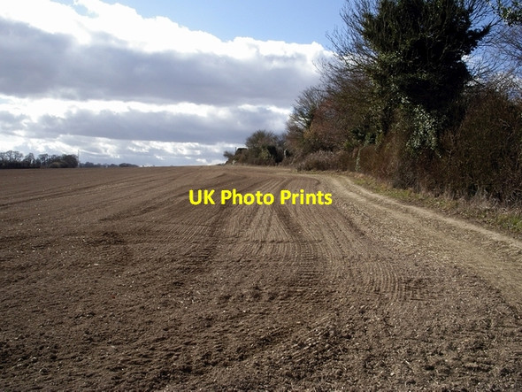 Photo 6"x4" Field at Westfield Farm Cheriton\/SU5828 c2006