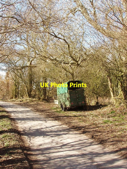 Photo 6"x4" Horsebox in a lane, Draycot Foliat Chiseldon c2006