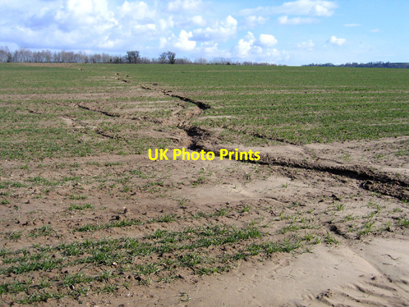 Photo 6"x4" Soil erosion, Wigborough, Somerset Lower Stratton\/ST4415 c2006