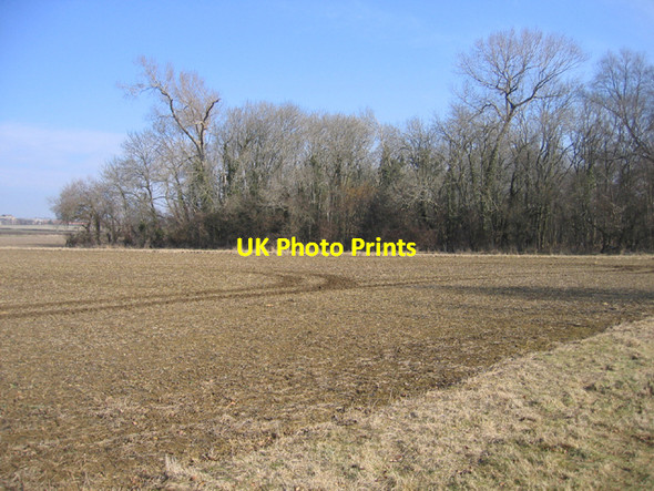 Photo 6"x4" Bedmill Copse, Yeo valley, near Sherborne, Dorset Thornford c2006