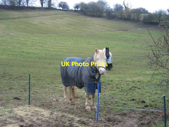 Photo 6"x4" From the lane to Morton Underhill Inkberrow c2006