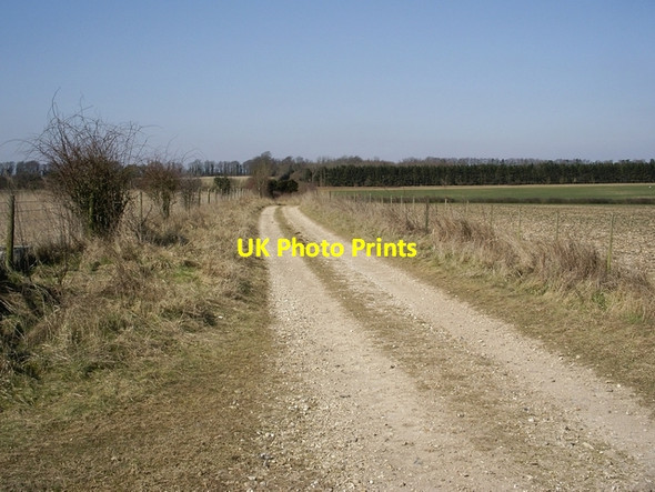 Photo 6"x4" Track leading to Sutton Down Farm South Wonston c2006
