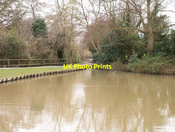 Photo 6"x4" Law Mill pond St Andrews c2006