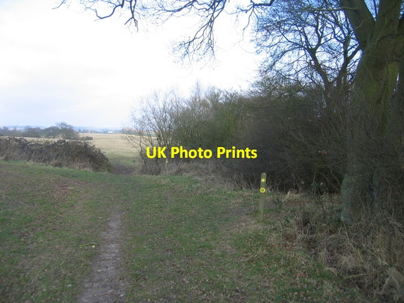 Photo 6"x4" Parting of the ways Cookhill c2006