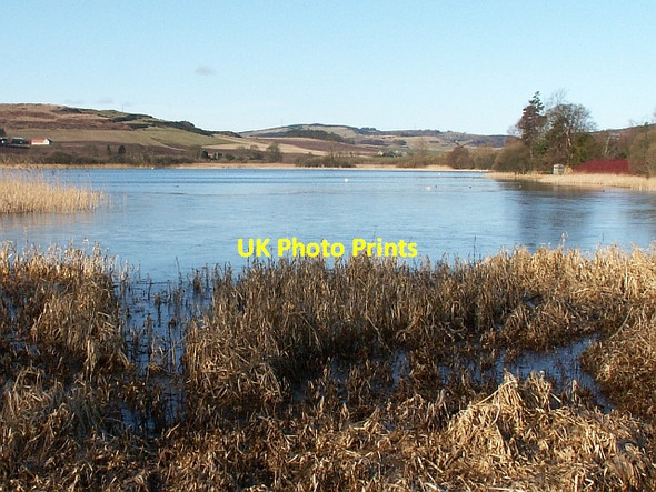 Photo 6"x4" Lindores Loch Lindores c2006 P1