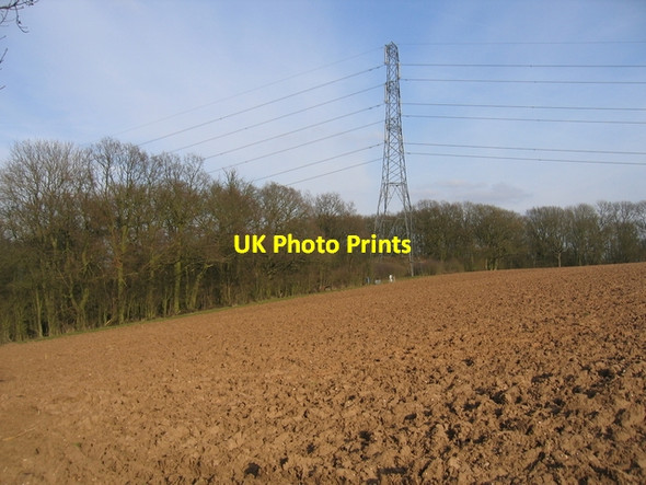 Photo 6"x4" Salford Coppice Atch Lench c2006