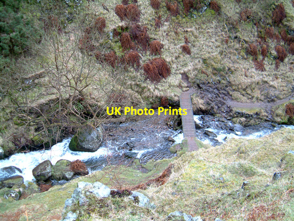 Photo 6"x4" Bridge over Gannel Burn Tillicoultry c2006