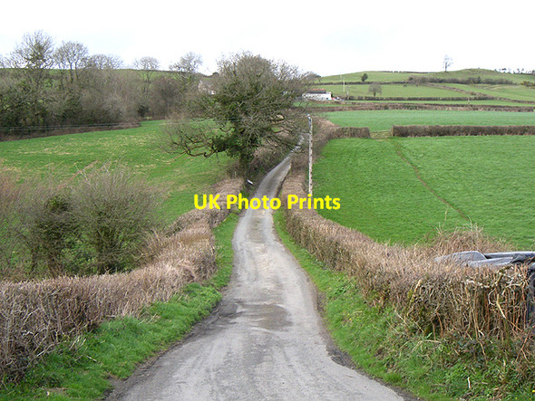 Photo 6"x4" Country lane Felingwmisaf c2006