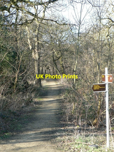 Photo 6"x4" Path in Hawksworth Wood Horsforth c2006