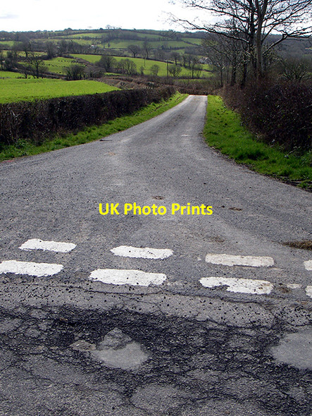 Photo 6"x4" Country lane Nant\/SN4319 c2006
