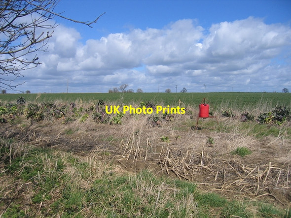 Photo 6"x4" Pheasant feeder at Lower Radbourne Ladbroke c2006