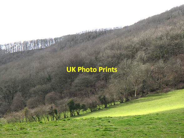 Photo 6"x4" Wooded Hill Horeb\/SN5128 c2006