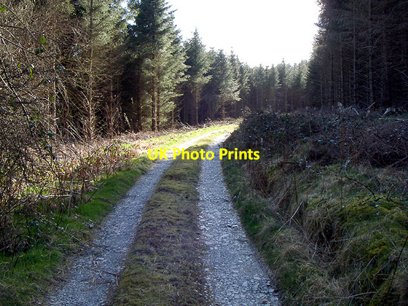 Photo 6"x4" Open Space Brechfa\/SN5230 c2006