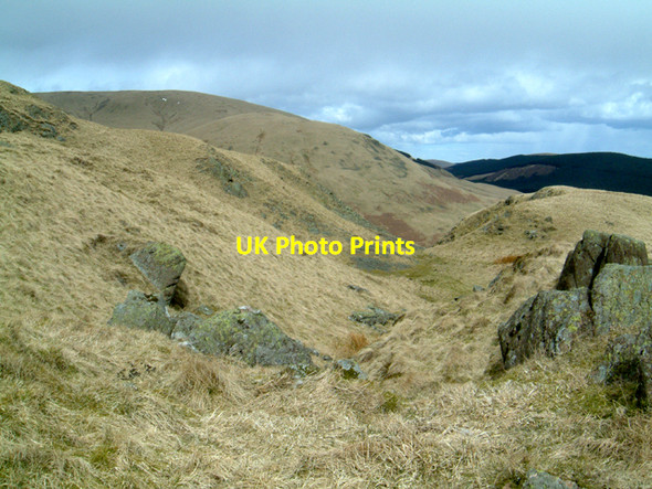 Photo 6"x4" In the Ochils Dollar c2006