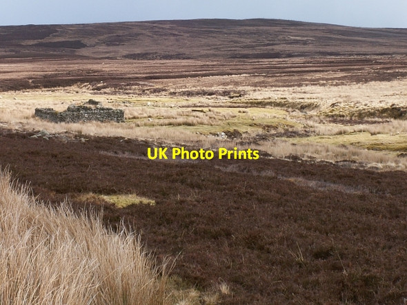 Photo 6"x4" Allt Bhuailteach Badnagie c2006