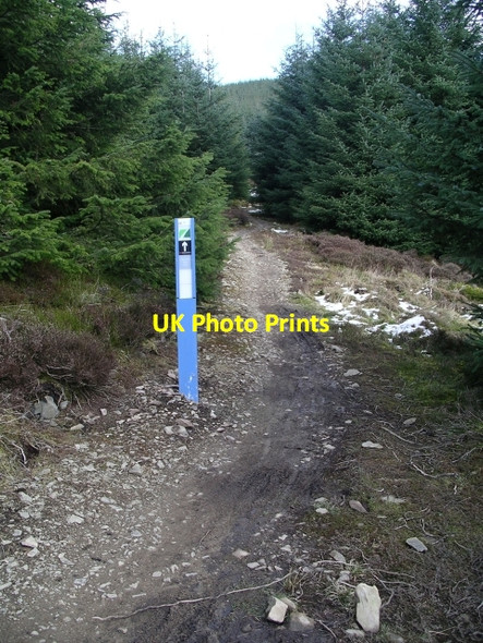 Photo 6"x4" Mountain bike trail, Makeness Hill Redscarhead c2006
