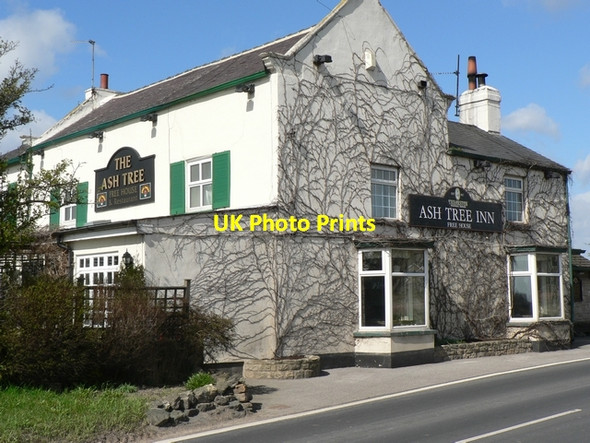 Photo 6"x4" The Ash Tree, Barkston Ash Barkston Ash c2006
