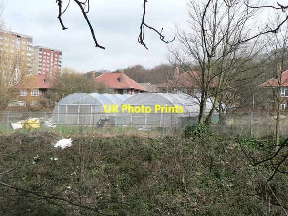 Photo 6"x4" Plastic tunnels on allotments, Headingley Kirkstall c2006