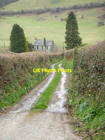 Photo 6"x4" Fachros Isaf Bryn Myrddin c2006