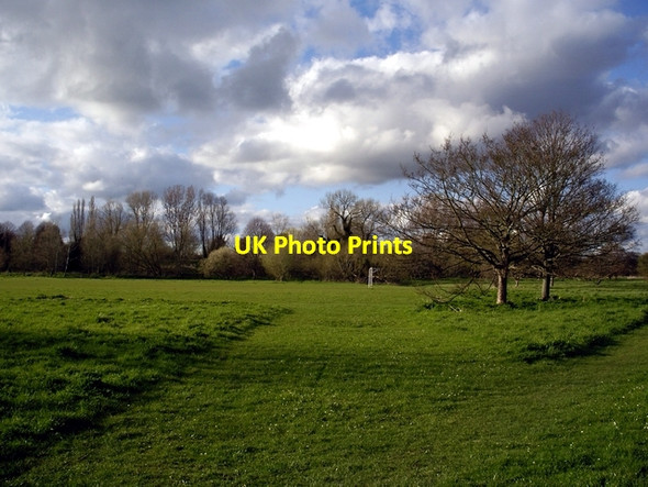 Photo 6"x4" Middle Street Meadow, West Harnham Salisbury c2006