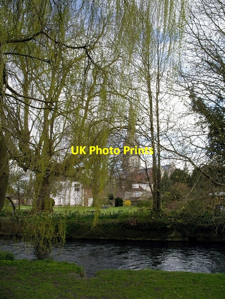 Photo 6"x4" River Avon and Salisbury Cathedral Salisbury c2006