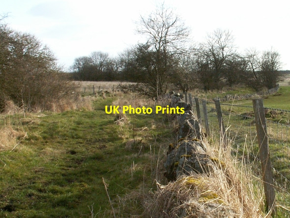 Photo 6"x4" By Easter Radernie Radernie\/NO4709 c2006