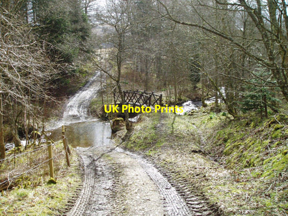Photo 6"x4" Ford over Lamington Burn Lamington\/NS9731 c2006