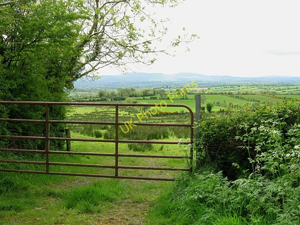 Photo 6"x4" Gate and Fields Castlewarren c2009