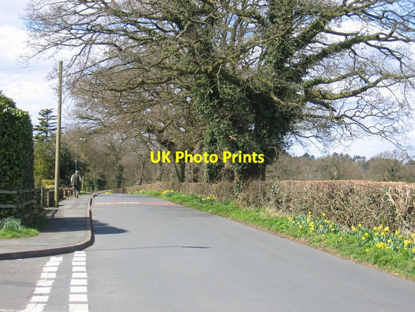 Photo 6"x4" Gorsey Lane, Wythall Grimes Hill c2006